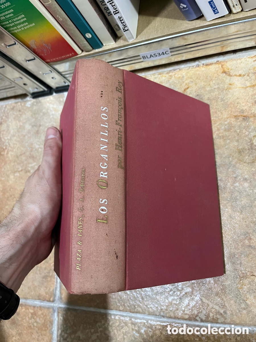 Libros de segunda mano: Blas34C Los organillos: Rey, Henri-Francois.- Rey, Henri-Francois