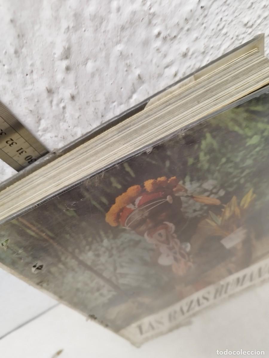 Libros de segunda mano: Antiguo libro las razas humanas. - Foto 4