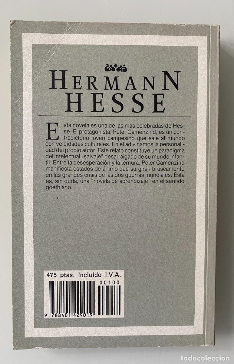 Libros de segunda mano: Peter Camenzind - HESSE, Hermann - Foto 2