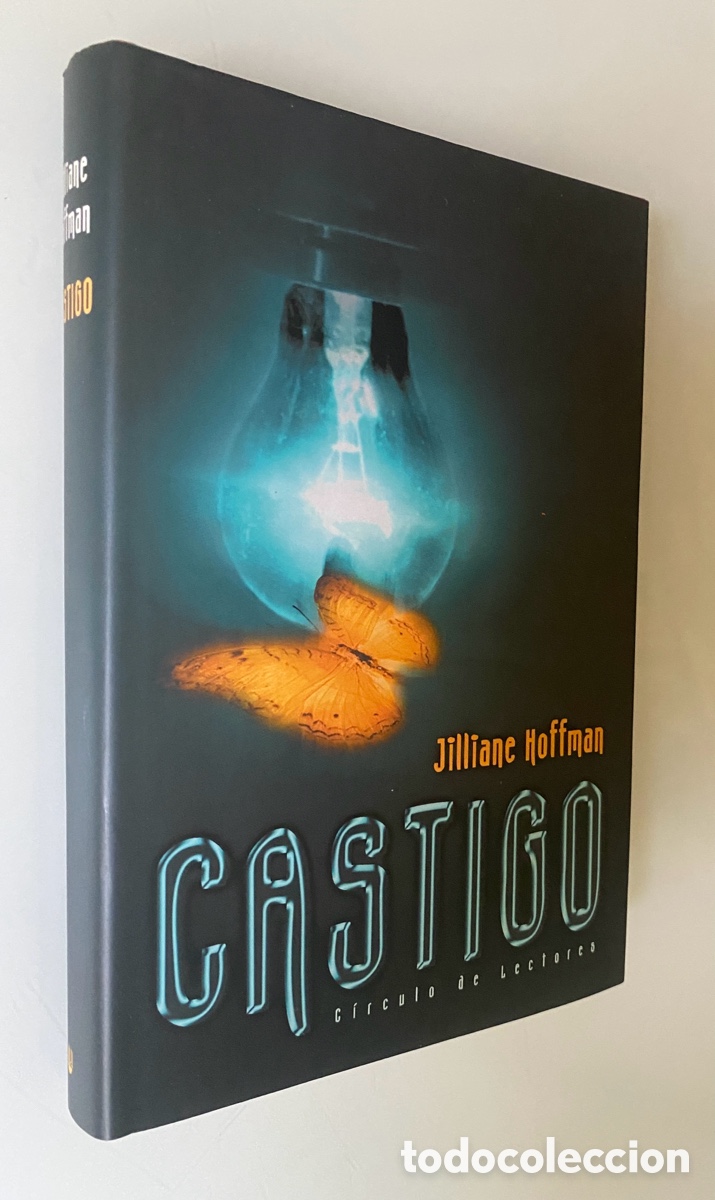 Libros de segunda mano: Castigo - HOFFMAN, Jilliane - Foto 1
