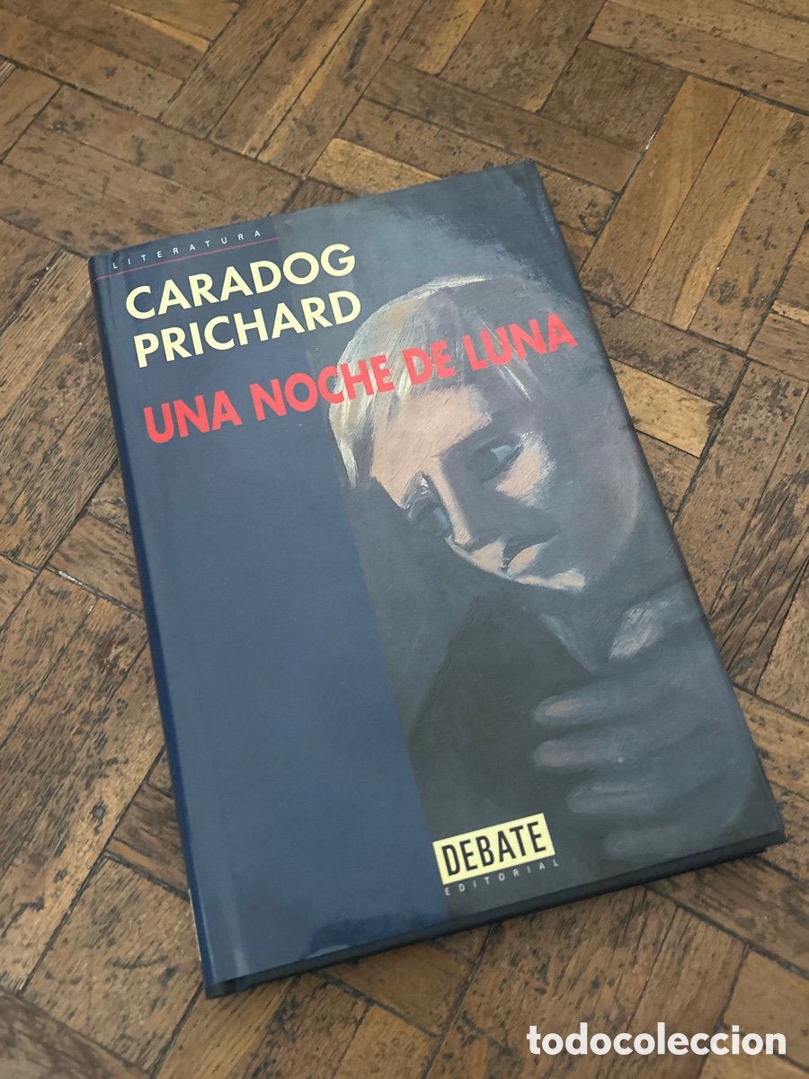 Libri di seconda mano: Una noche de luna - Caradog Prichard - Debate (1999)