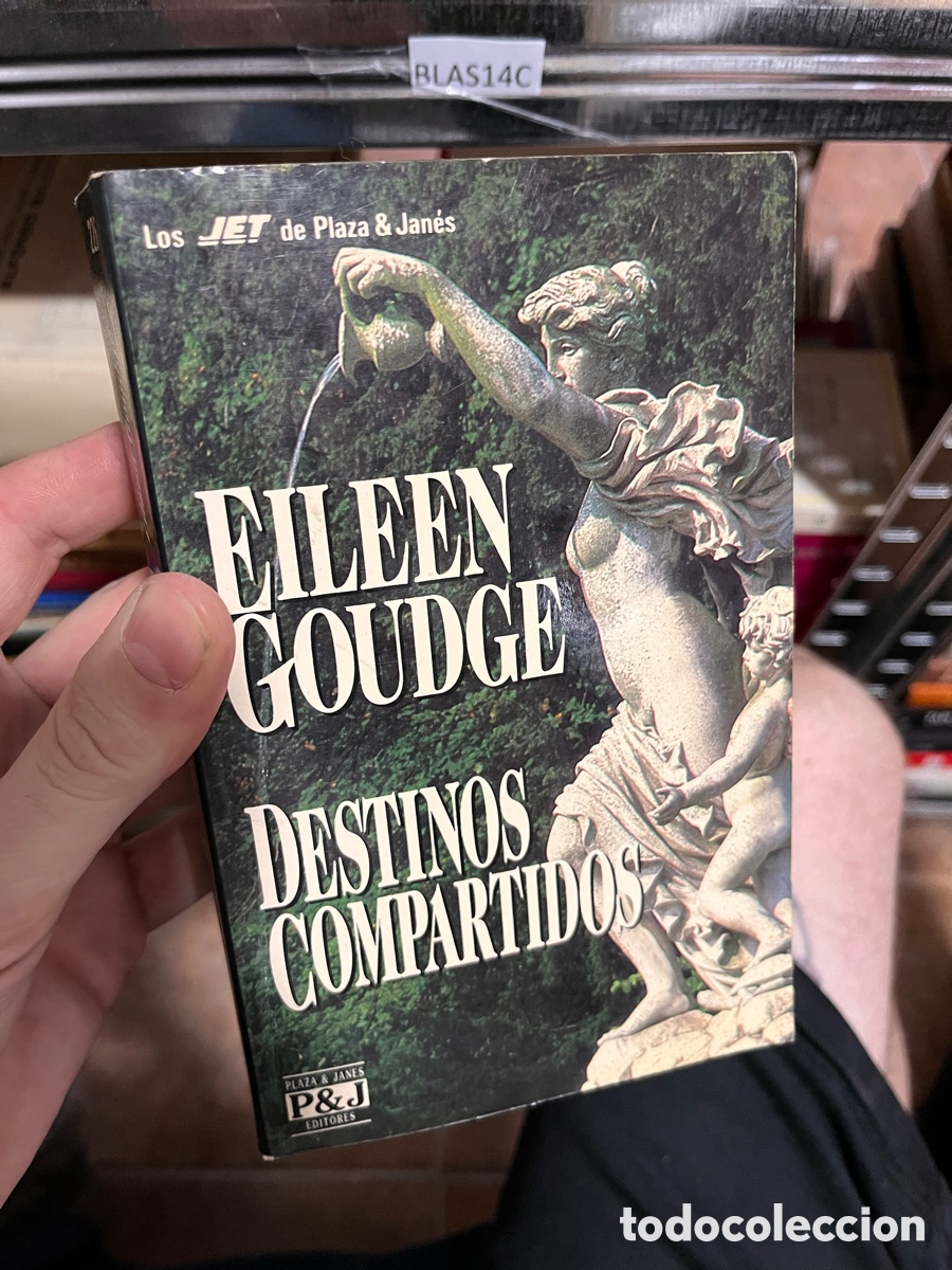 Libros de segunda mano: Blas14C EILEEN GOUDGE - DESINOS COMPARWIDOS