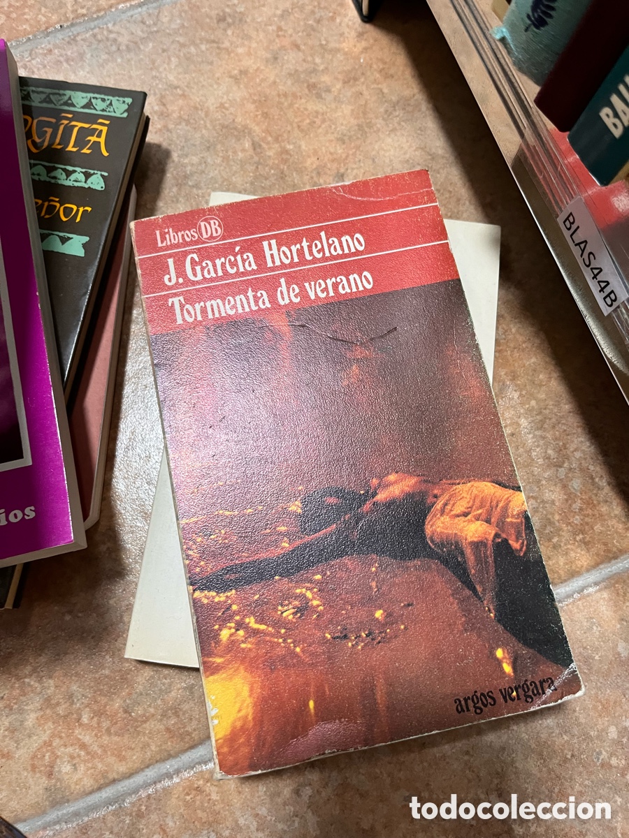 Libros de segunda mano: Blas44B Libros DB J. Garc&iacute;a Hortelano Tormenta de verano