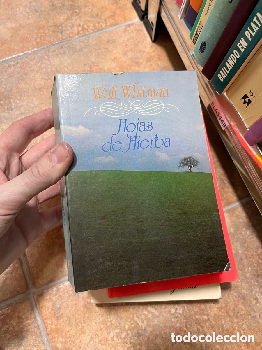 Libros de segunda mano: Blas44B Walt Whitman Hojas de Hierba