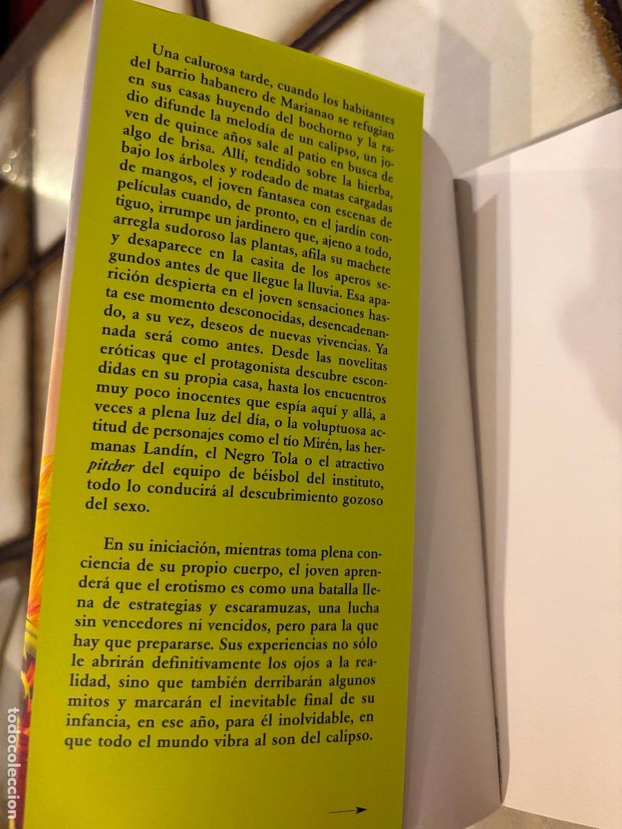 Libros de segunda mano: El a&ntilde;o del calipso. Abilio Est&eacute;vez - Foto 2
