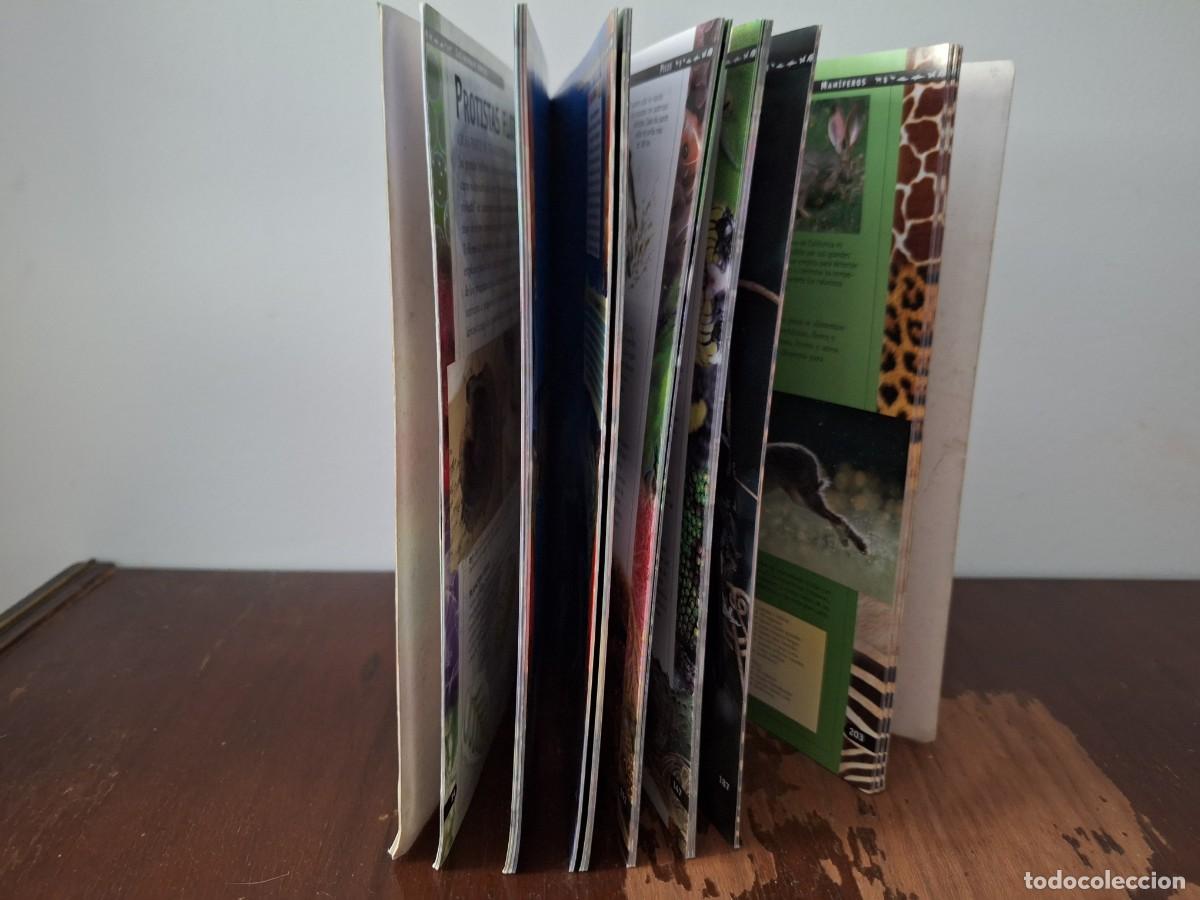 Libros de segunda mano: El Mundo De Los Animales. - Foto 3