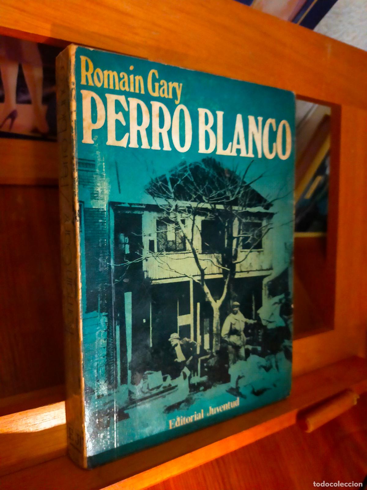 Libros de segunda mano: PERRO BLANCO. ROMAIN GARY. EDITORIAL JUVENTUD - Foto 1