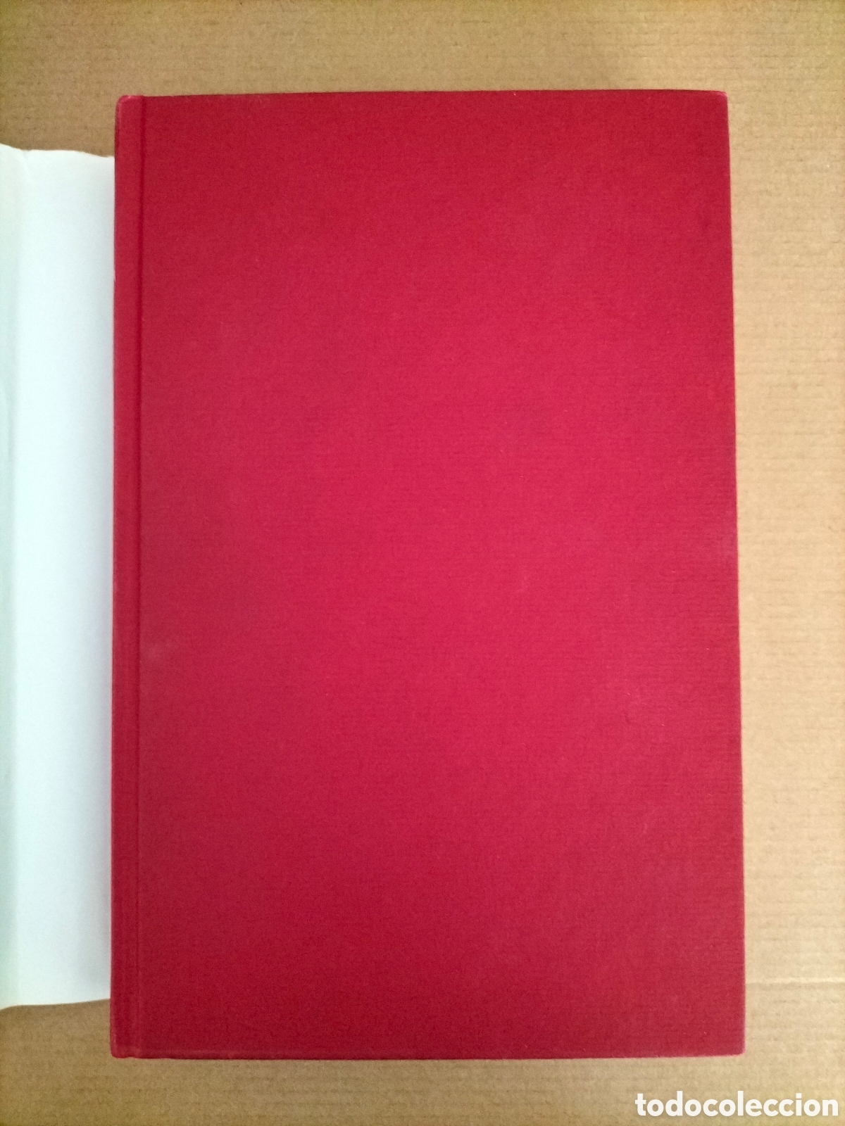 Libros de segunda mano: La bodega. Noah Gordon. Roca Editorial de Libros C&iacute;rculo de lectores, 2007. Libro - Foto 2