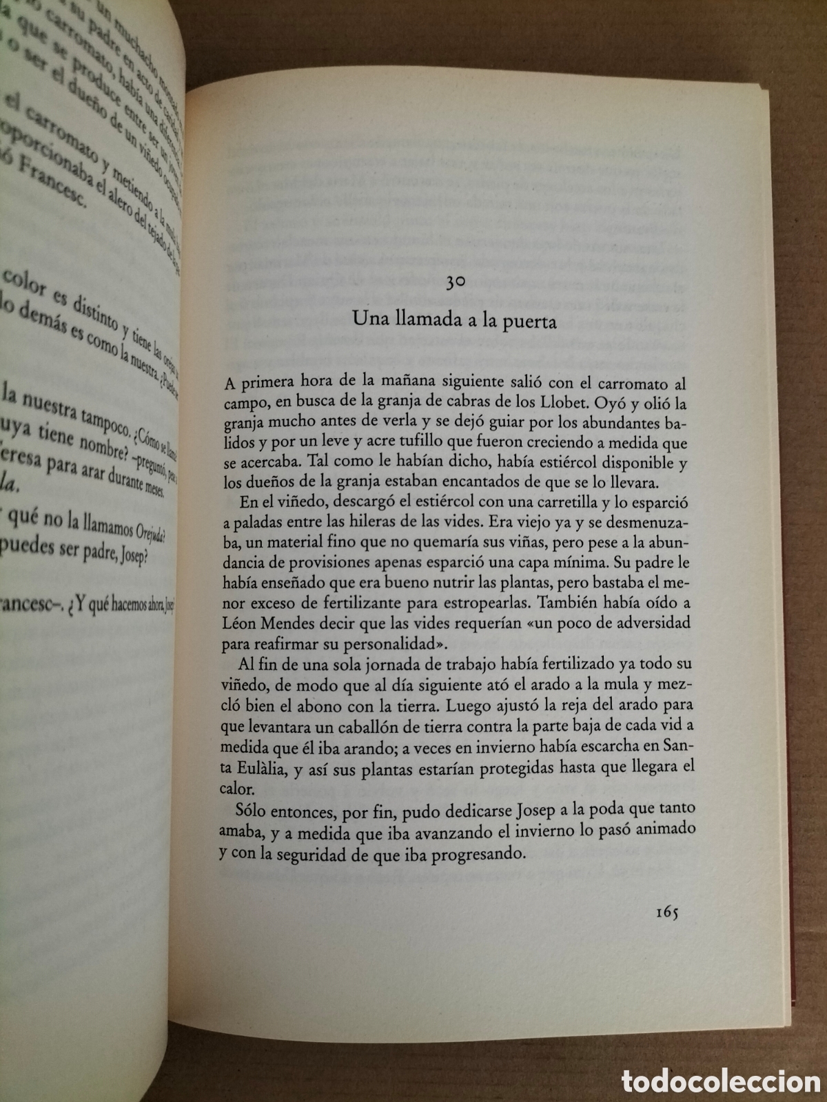 Libros de segunda mano: La bodega. Noah Gordon. Roca Editorial de Libros C&iacute;rculo de lectores, 2007. Libro - Foto 5