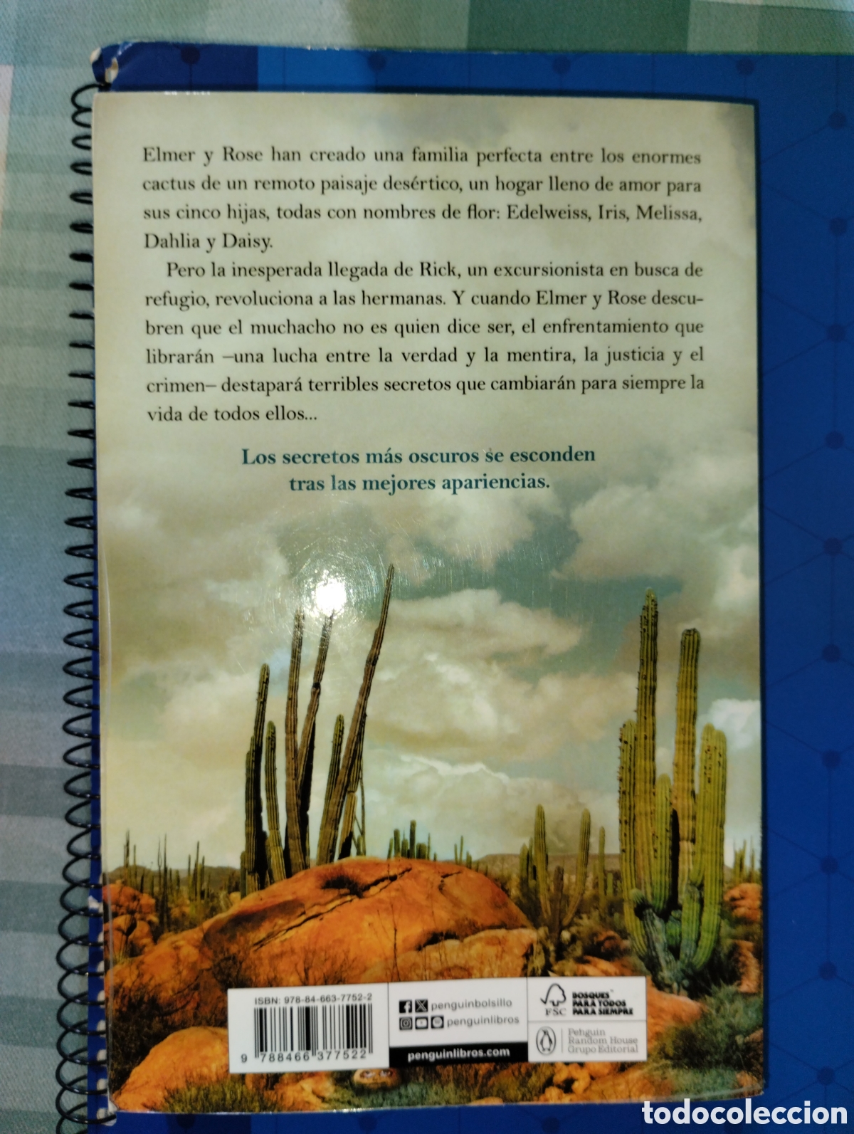 Libros de segunda mano: LA CASA ENTRE LOS CACTUS - Foto 2