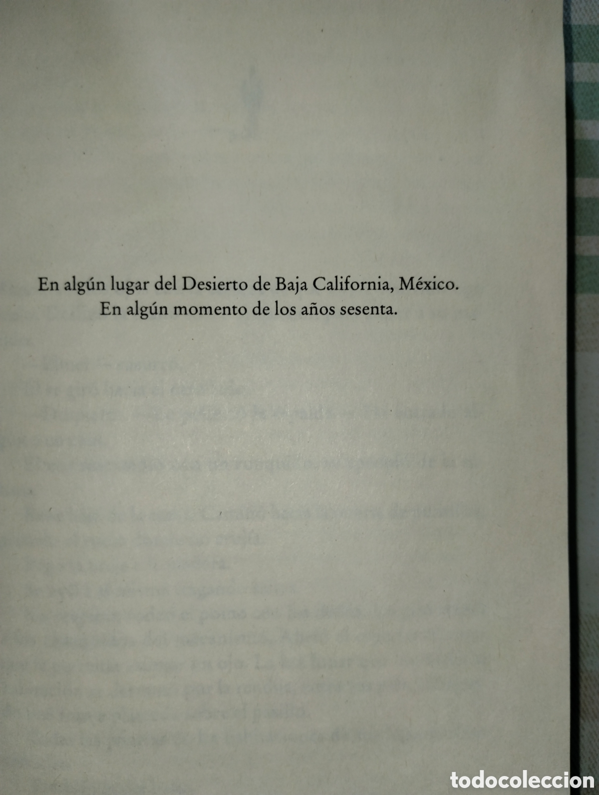Libros de segunda mano: LA CASA ENTRE LOS CACTUS - Foto 6
