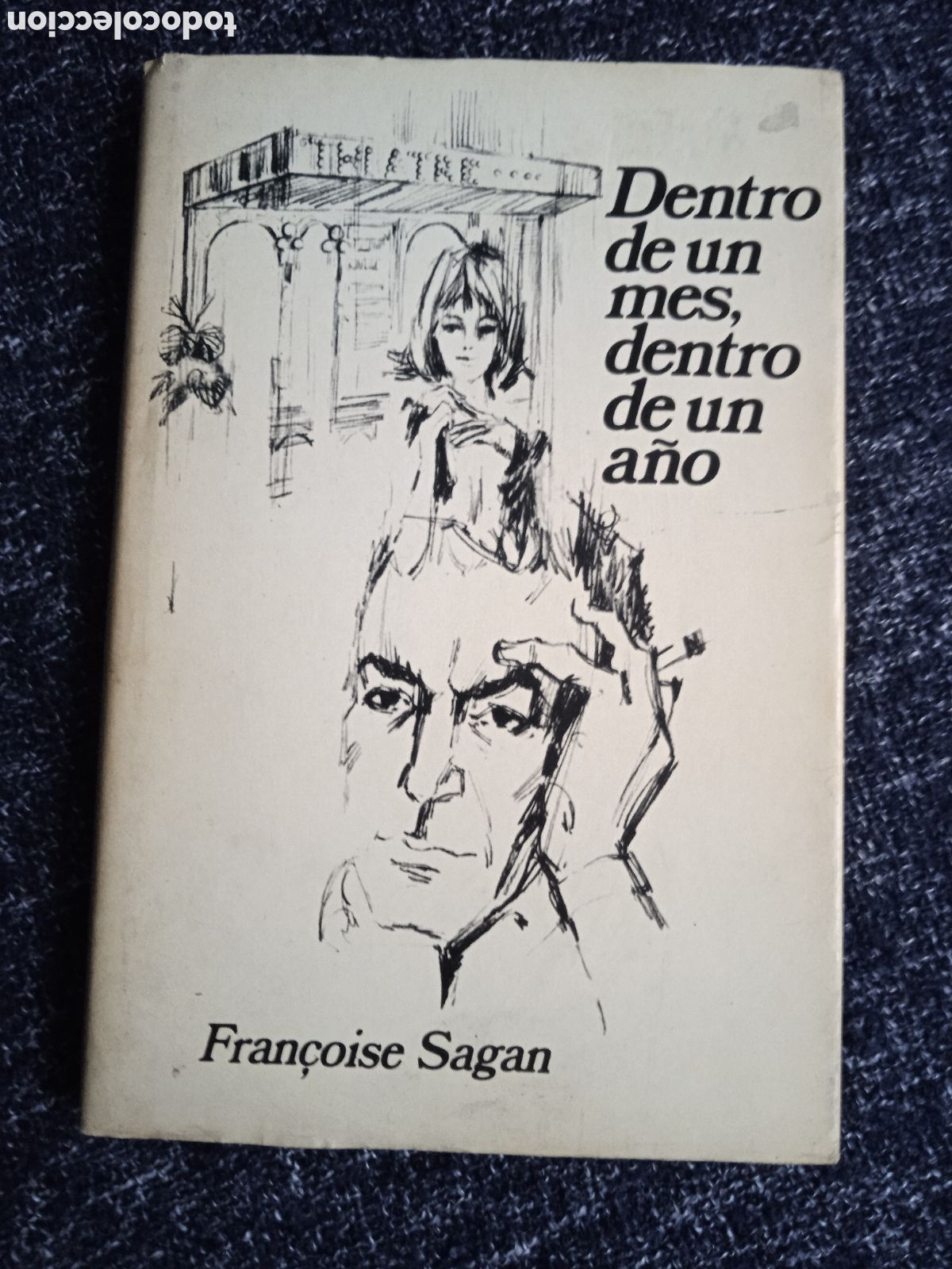 Gebrauchte B&uuml;cher: DENTRO DE UN MES, DENTRO DE UN A&Ntilde;O./ FRAN&Ccedil;OISE SAGAN.