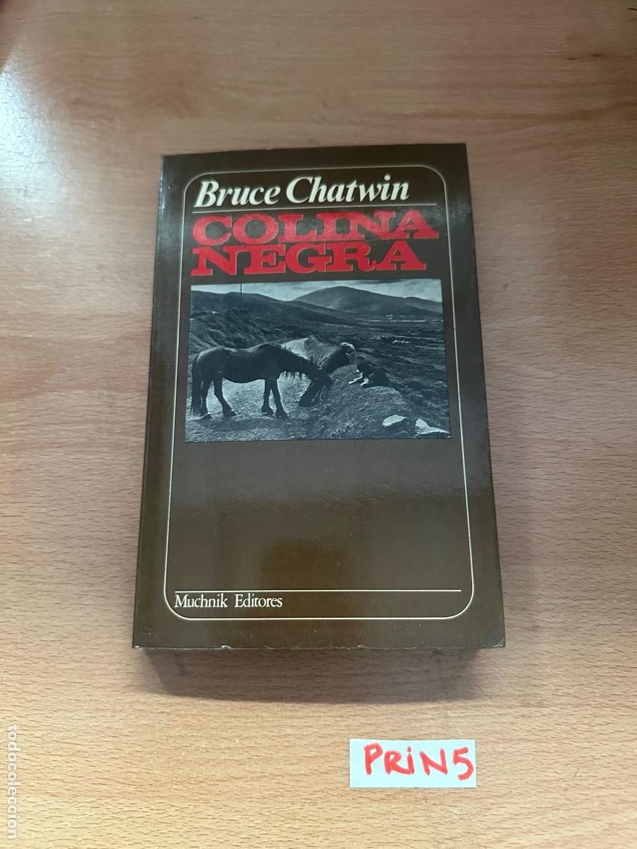Libros de segunda mano: Libro: Colina negra. - Foto 1
