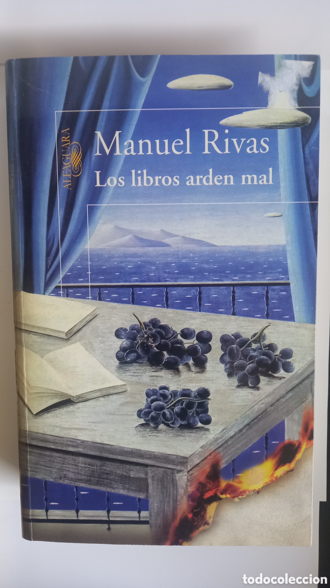 Libros de segunda mano: Los libros arden mal. Manuel Rivas - Foto 1