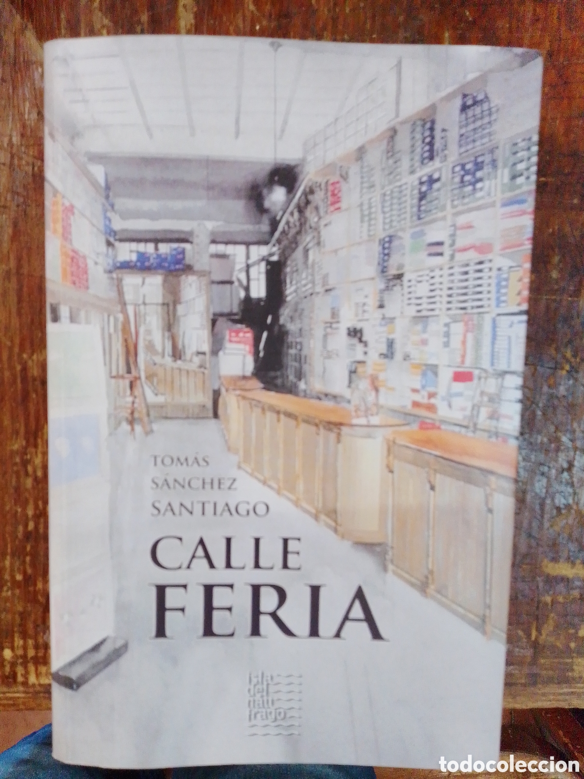 Libros de segunda mano: CALLE FERIA. SANCHEZ SANTIAGO, TOMAS. ISLA DEL NAUFRAGO. SEGOVIA, 2017.