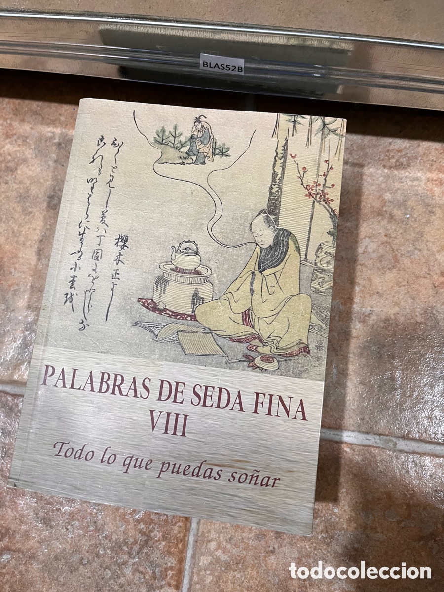 Gebrauchte B&uuml;cher: Blas52B PALABRAS DE SEDA FINA VIII Todo lo que puedas so&ntilde;ar