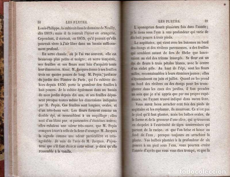 Libros de segunda mano: Les Fleurs - Alphonse Karr - Foto 3