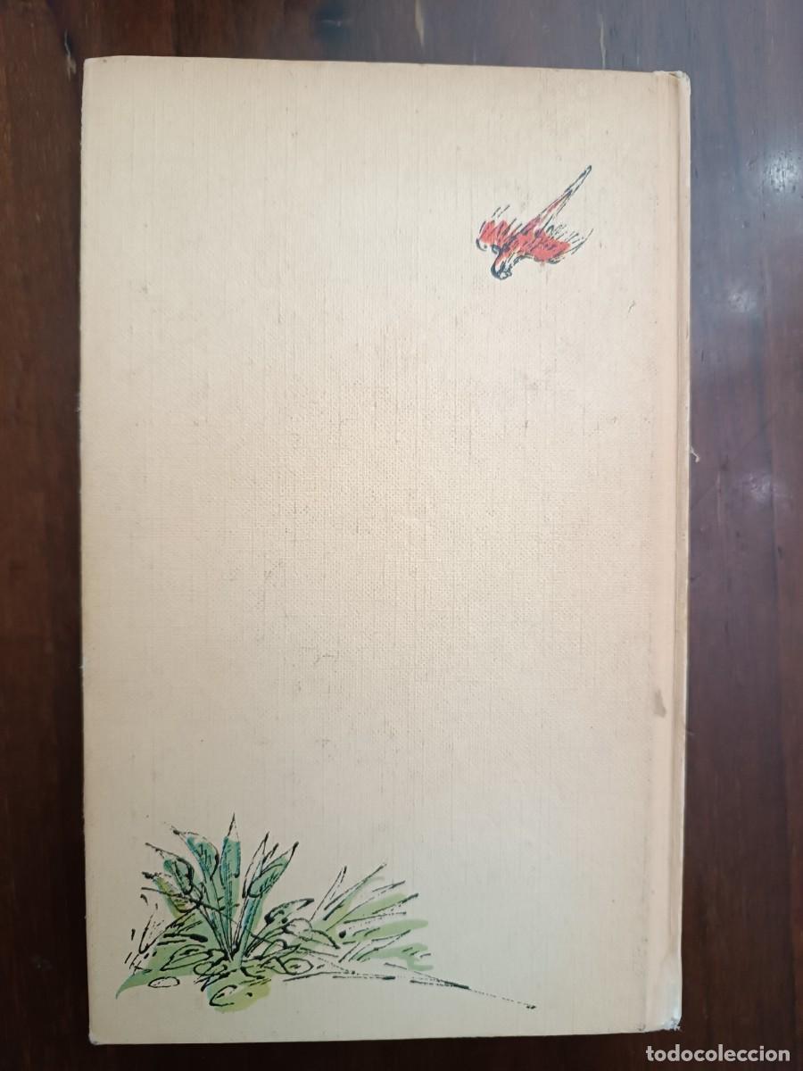 Libros de segunda mano: Robinson Crusoe - Daniel Defoe - Foto 2