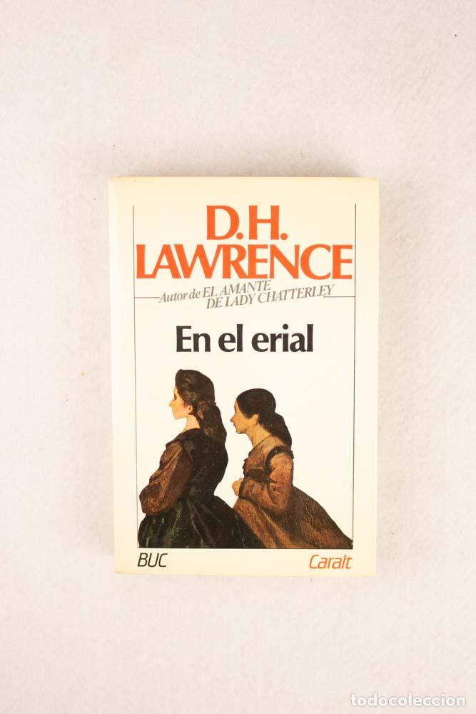 Libros de segunda mano: En el erial - D.H. Lawrence - Foto 1