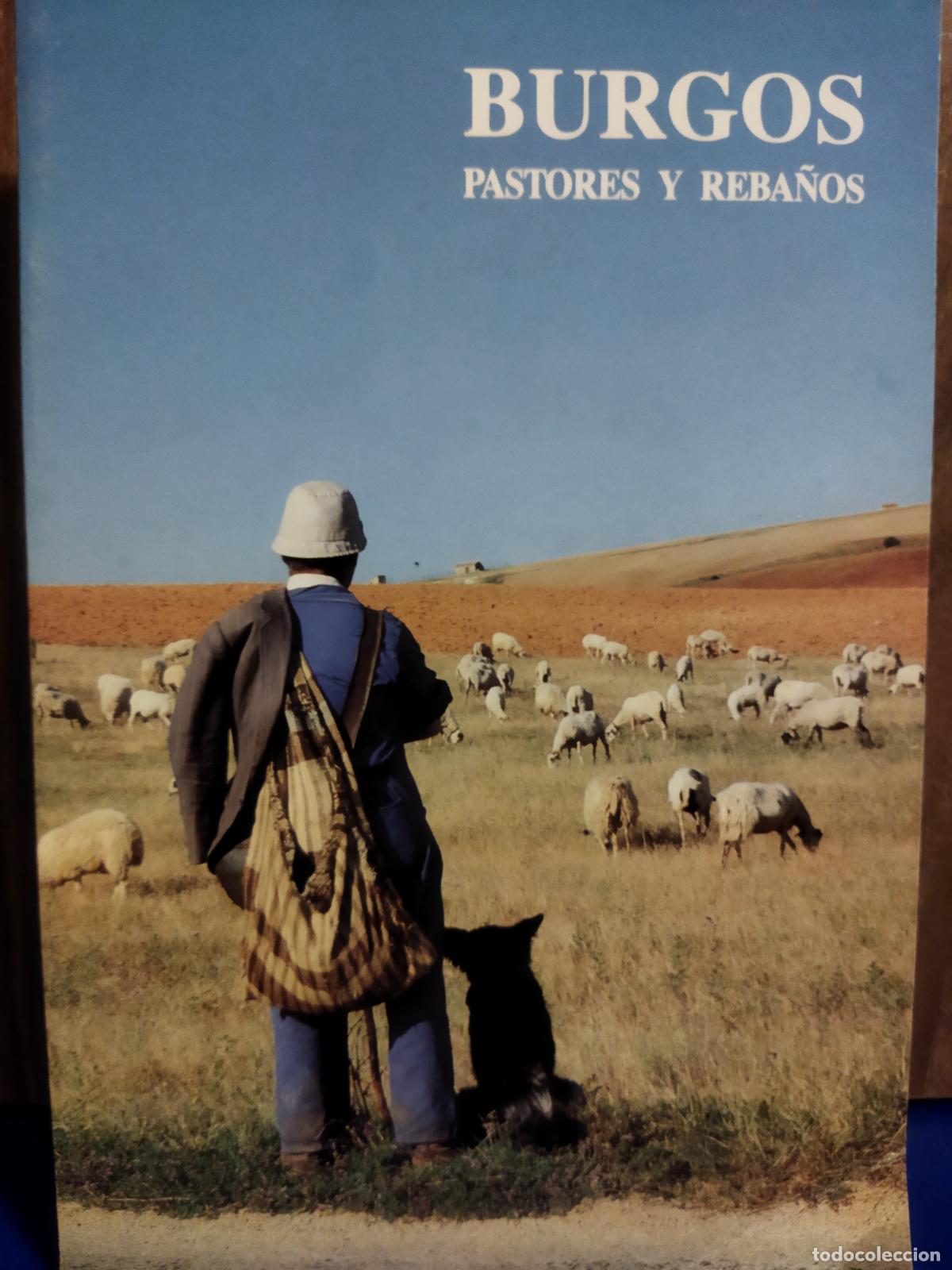 Libros de segunda mano: Burgos pastores y reba&ntilde;os