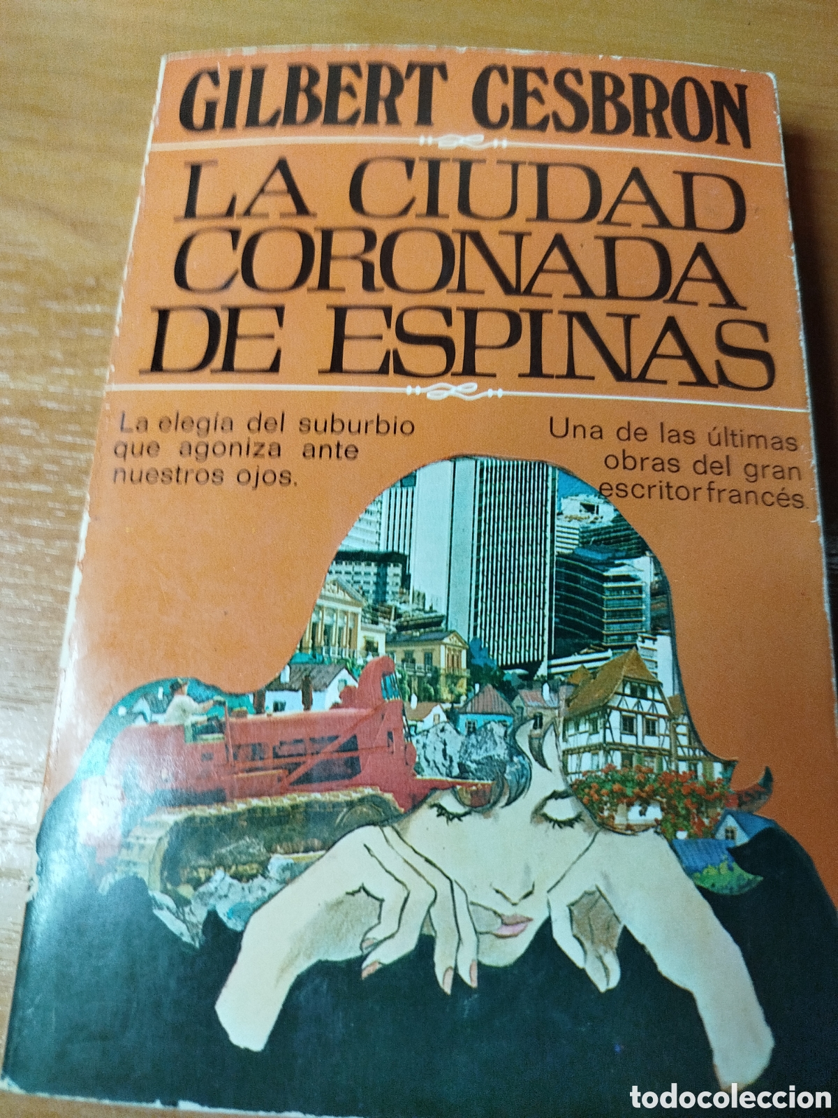 Libros de segunda mano: La ciudad coronada de espinas. Cesbron. - Foto 1
