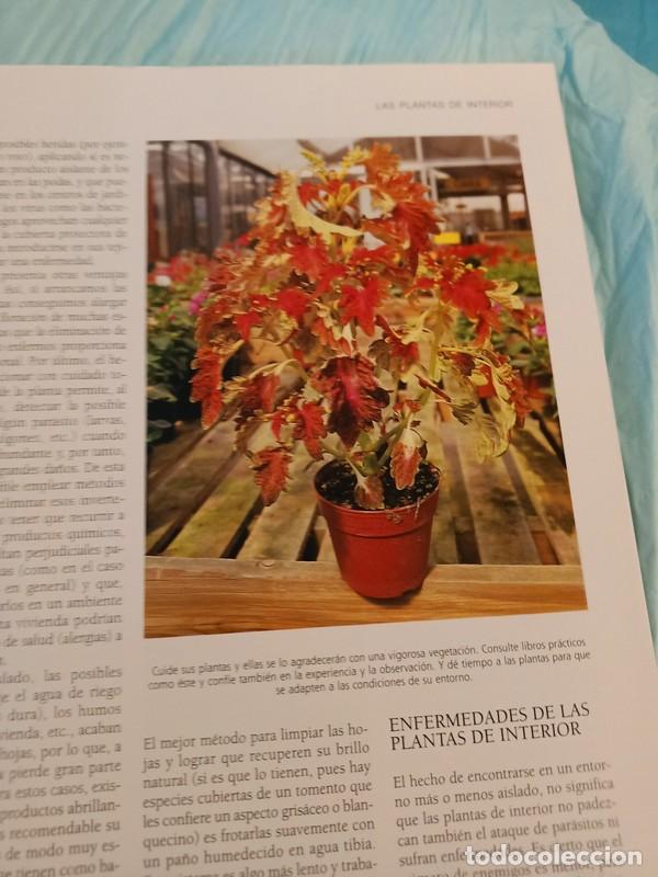 Libros de segunda mano: el gran libro de la jardineria - Foto 3
