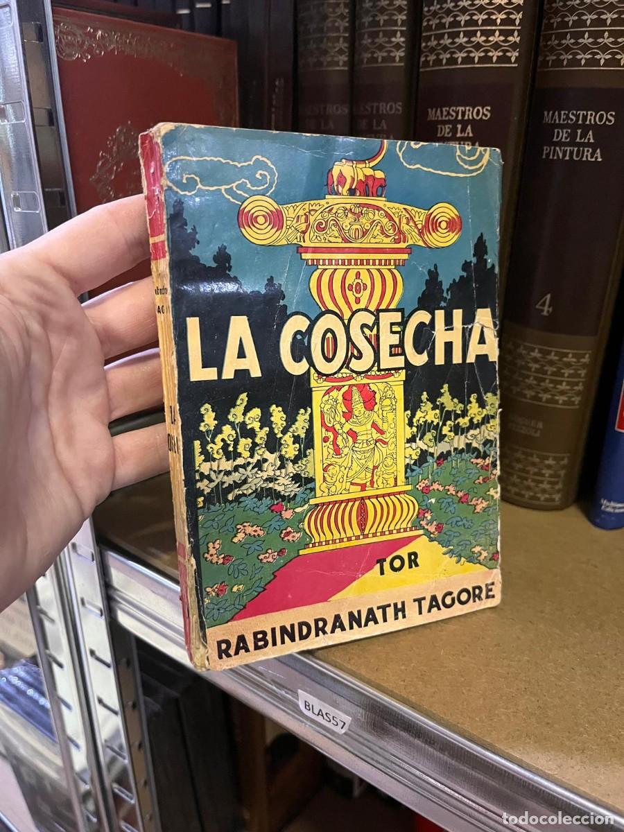 Libros de segunda mano: BLAS57 LA COSECHA, RABINDRANATH TAGORE, TOR - Foto 1
