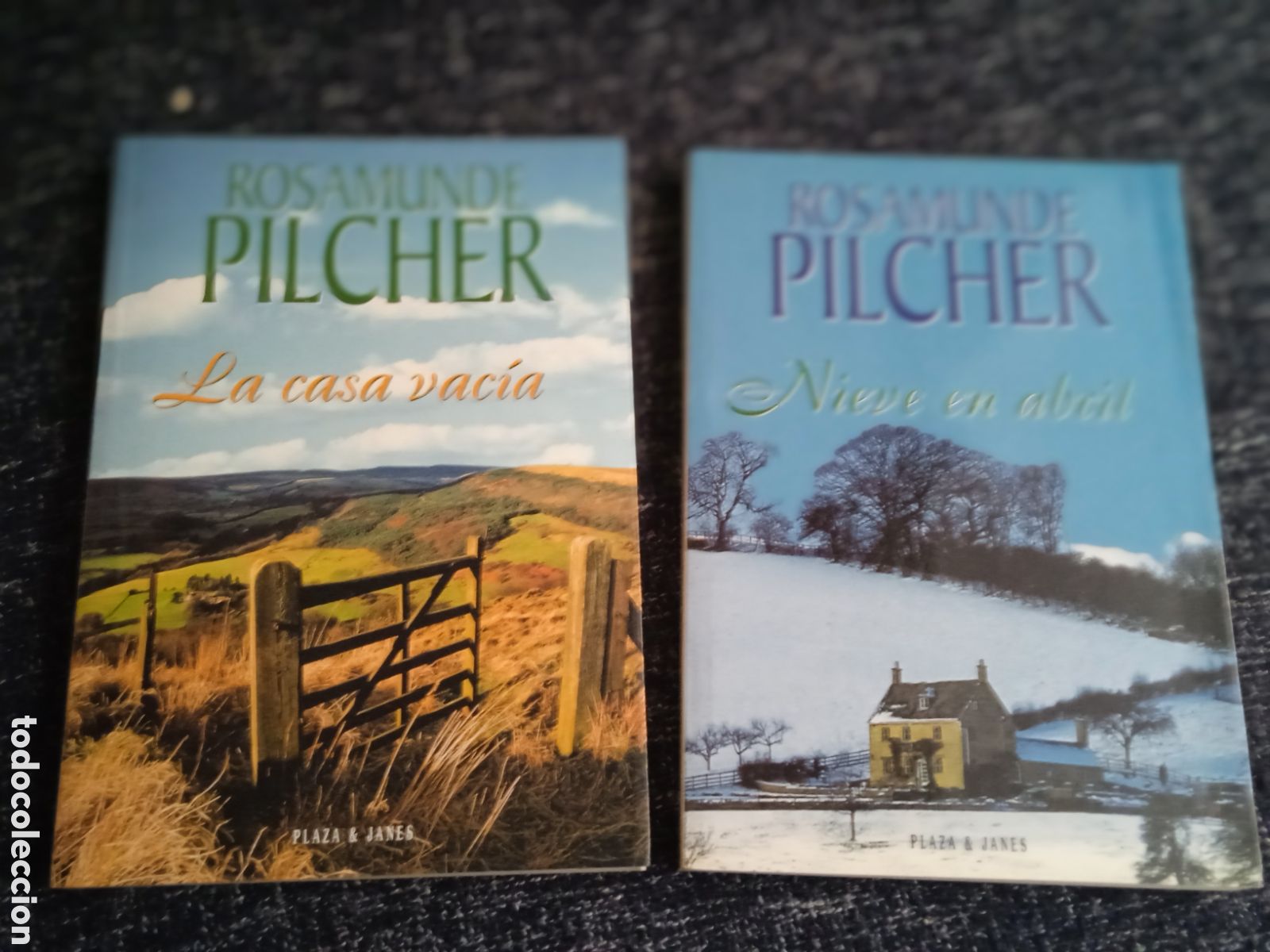 Second hand books: ROSAMUNDE PILCHER - Nieve en abril. - LA CASA VACIA