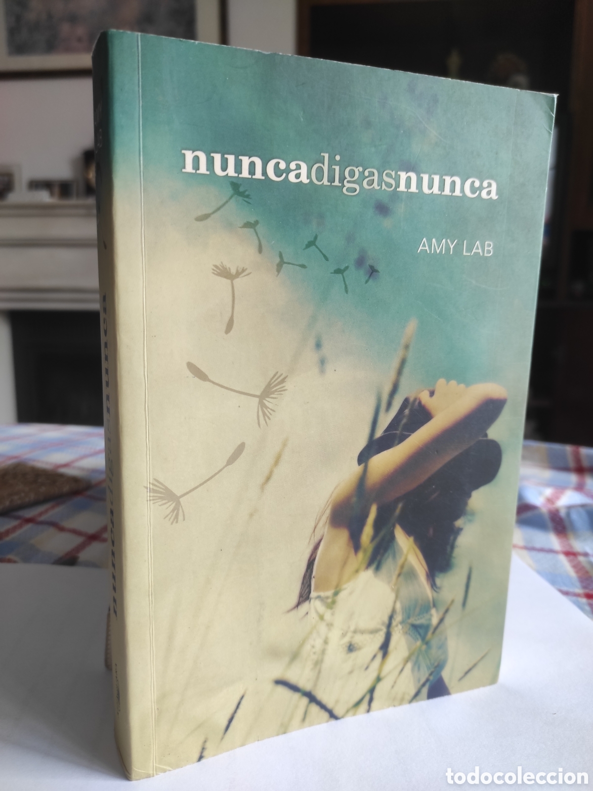 Libros de segunda mano: AMY LAB : NUNCA DIGAS NUNCA - Foto 1