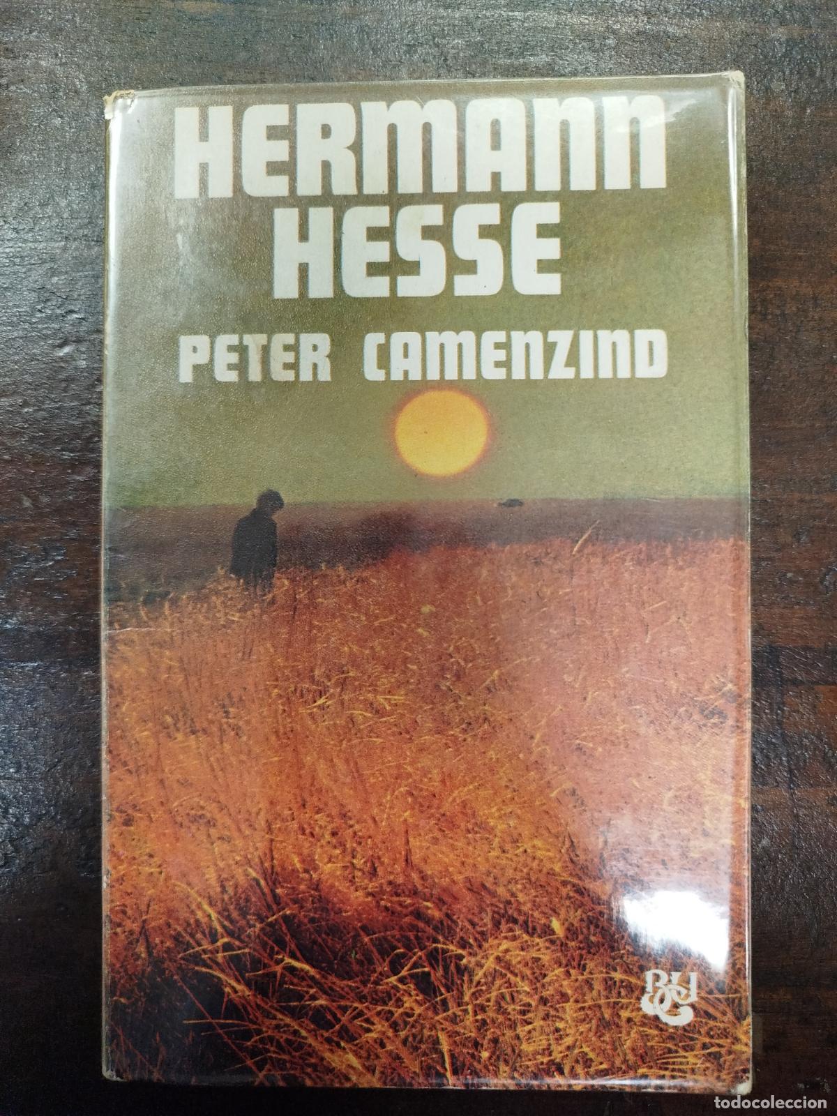 Libros de segunda mano: PETER CAMENZIND - HERMANN HESSE - Foto 1