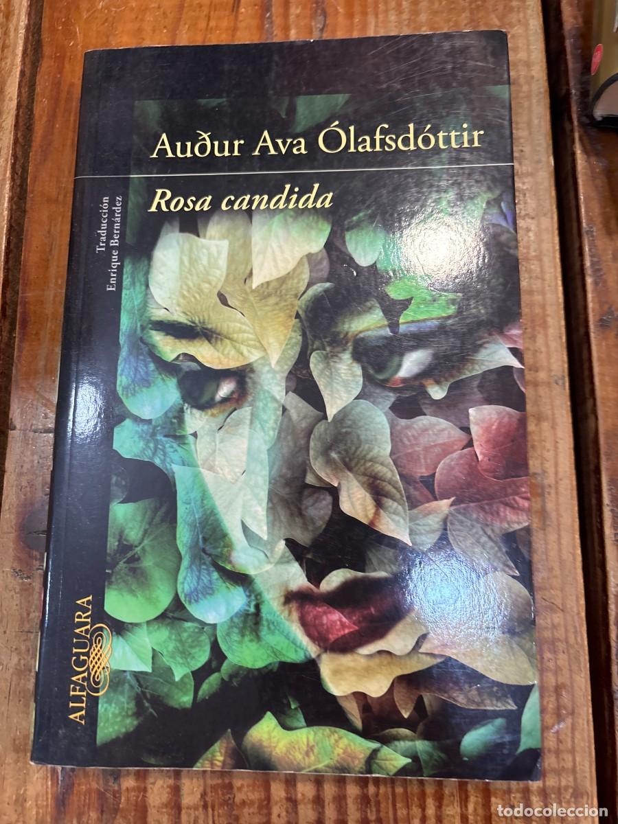 Libros de segunda mano: Rosa candida &Oacute;lafsd&oacute;ttir, Au&eth;ur Ava - Foto 1