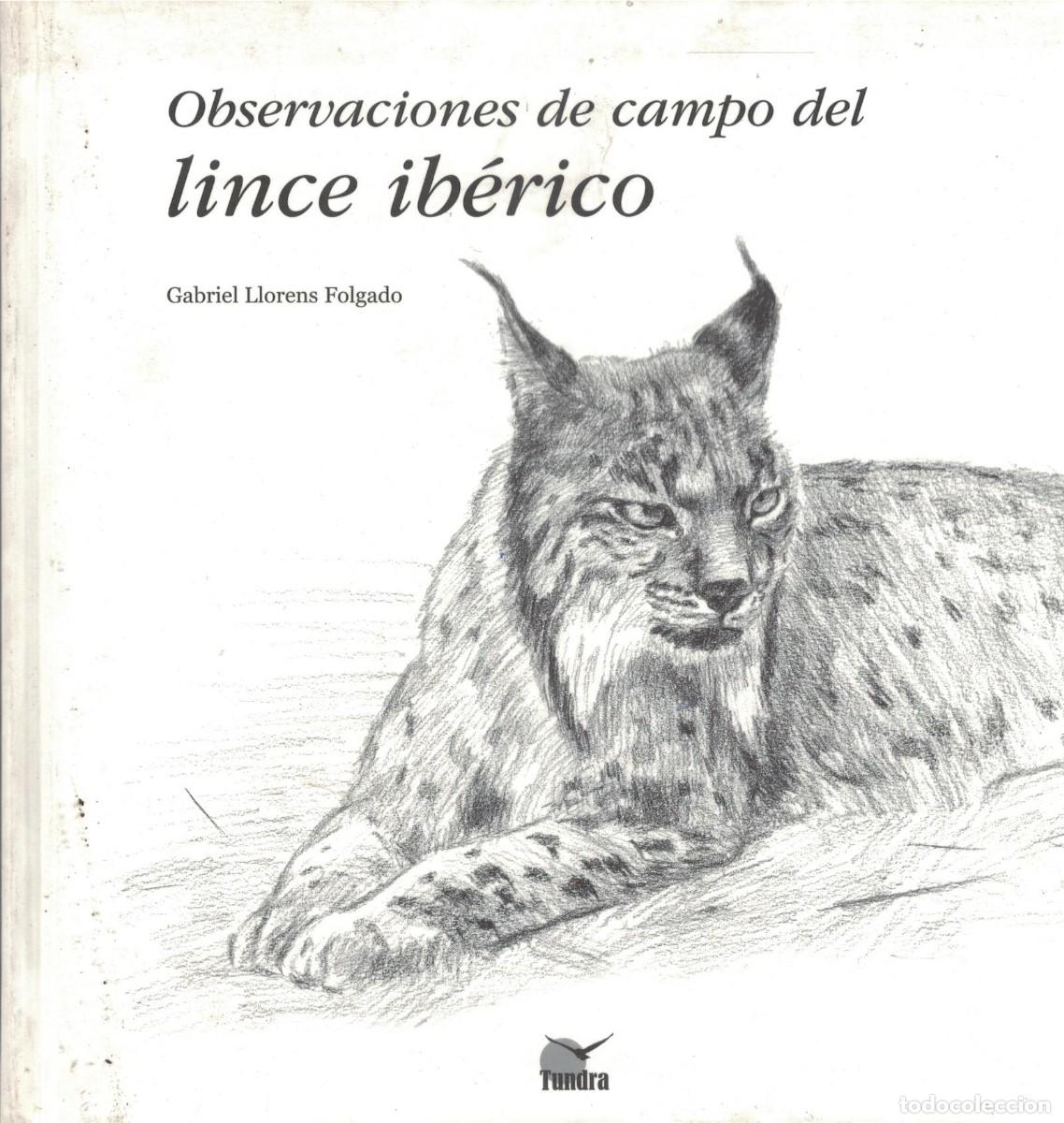 Libri di seconda mano: OBSERVACIONES DE CAMPO DEL LINCE IBERICO. LLORENS FOLGADO, GABRIEL. CP-212