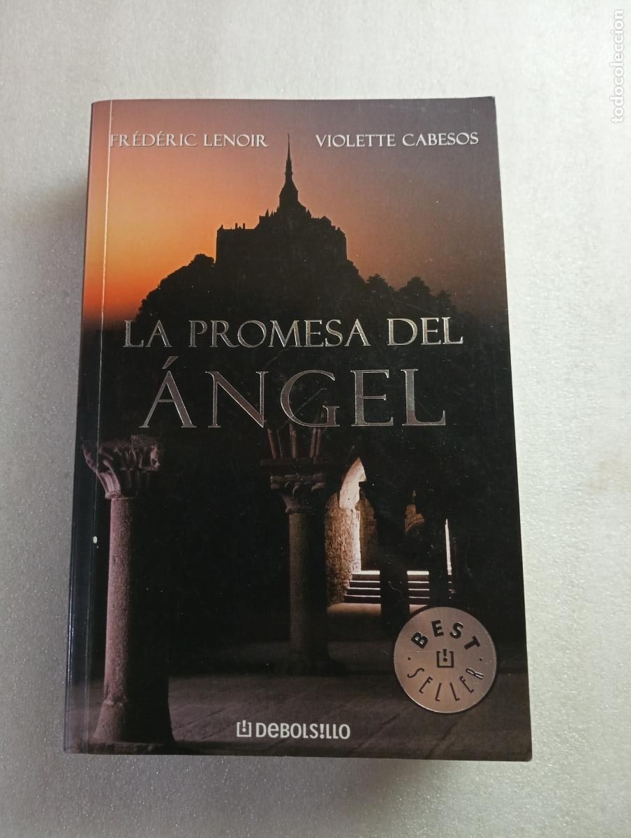 Libros de segunda mano: La promesa del &aacute;ngel - Novela de Misterio / Hist&oacute;rica - Fr&eacute;d&eacute;ric Lenoir / Violette Cabesos
