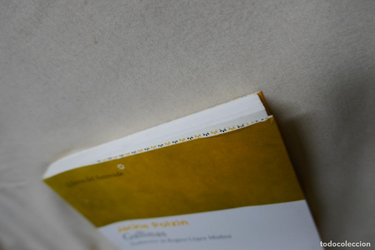Libros de segunda mano: Gallinas - Jackie Polzin - Foto 3