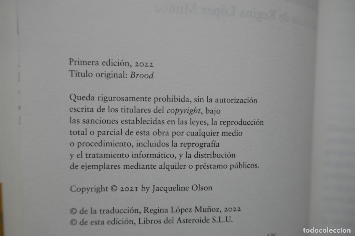 Libros de segunda mano: Gallinas - Jackie Polzin - Foto 6