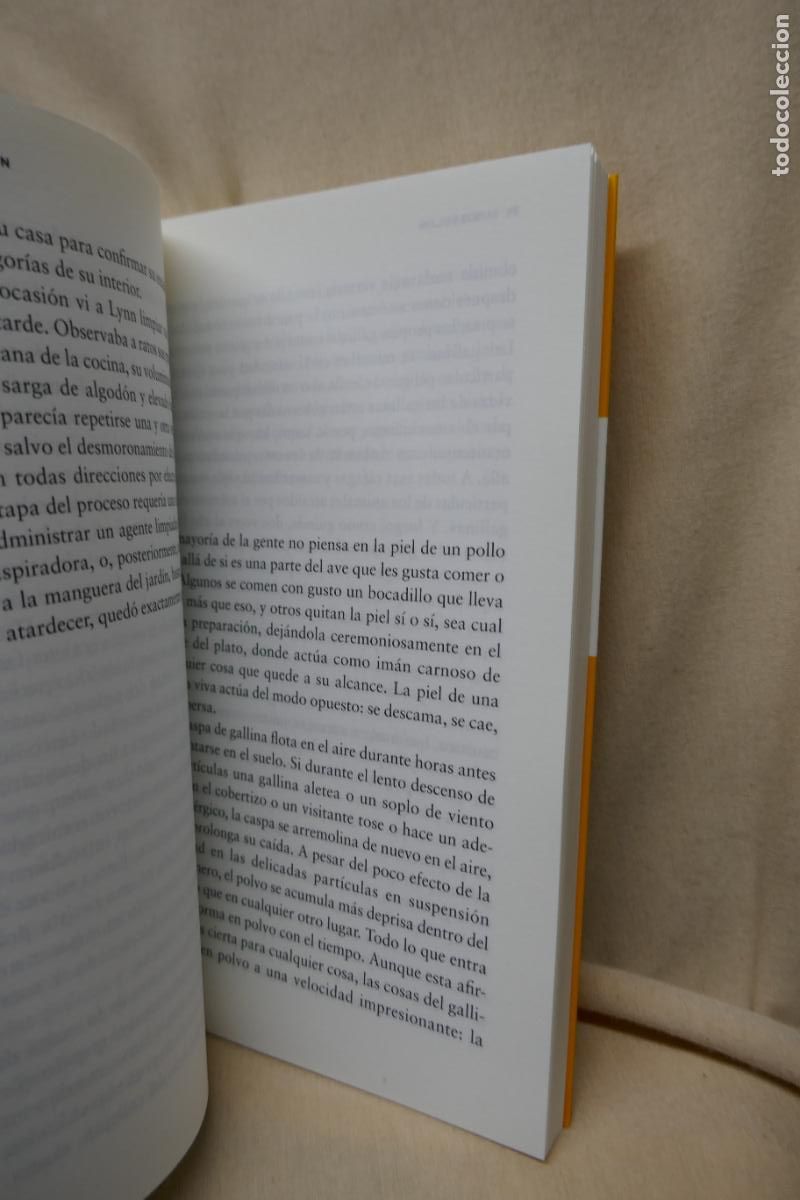 Libros de segunda mano: Gallinas - Jackie Polzin - Foto 10