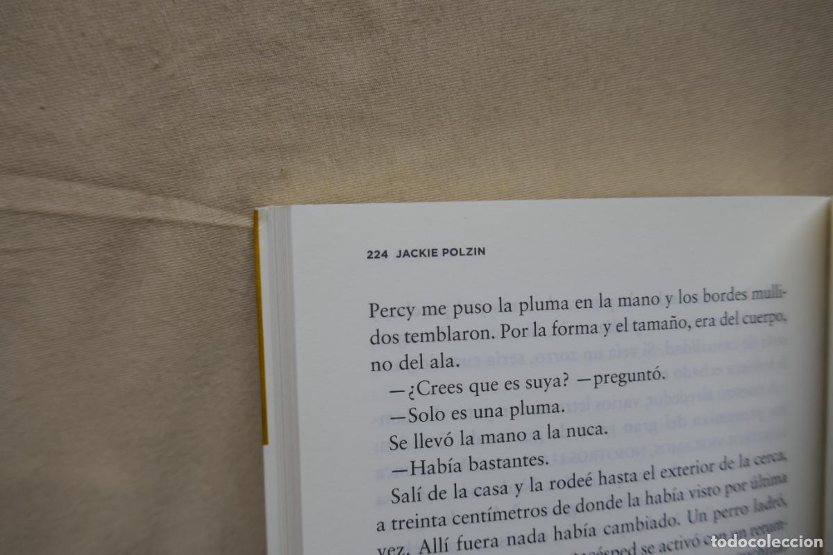 Libros de segunda mano: Gallinas - Jackie Polzin - Foto 11