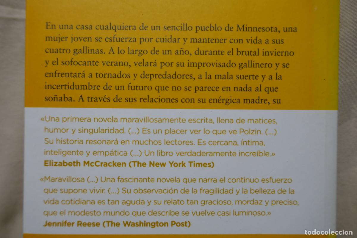 Libros de segunda mano: Gallinas - Jackie Polzin - Foto 13