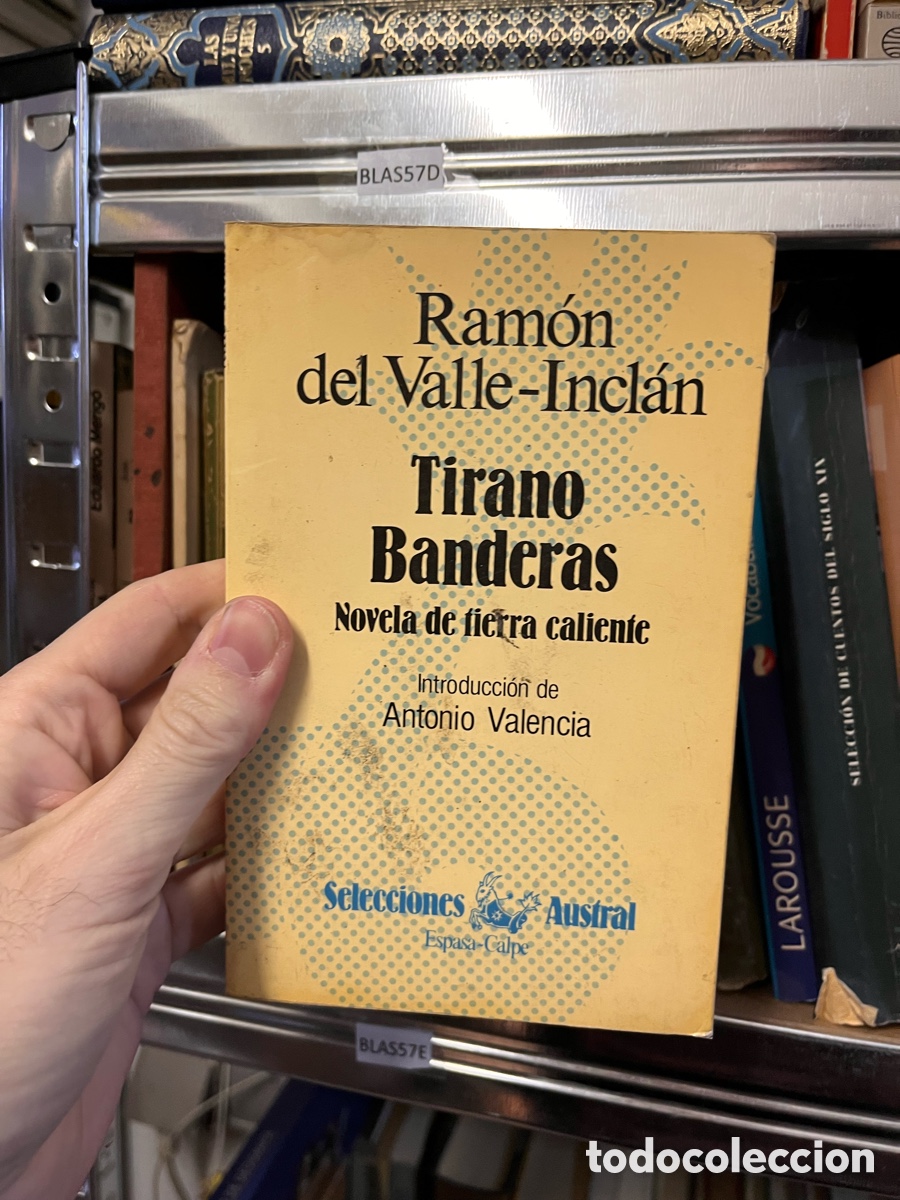 Libros de segunda mano: BLAS57D Ram&oacute;n del Valle-Incl&aacute;n Tirano Banderas Novela de tierra caliente