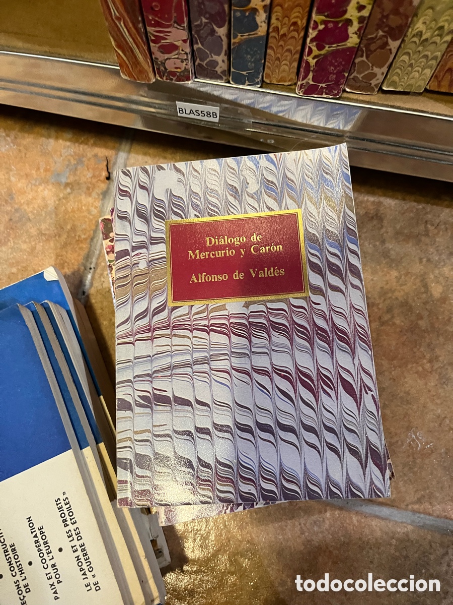 Libri di seconda mano: Blas58B Di&aacute;logo de Mercurio y Car&oacute;n Alfonso de Vald&eacute;s