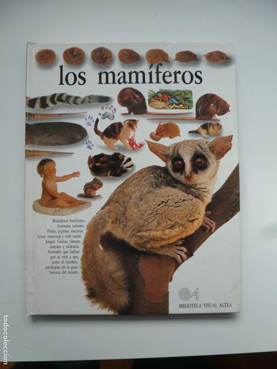Libros de segunda mano: LOS MAM&Iacute;FEROS. BIBLIOTECA VISUAL ALTEA. - Foto 1