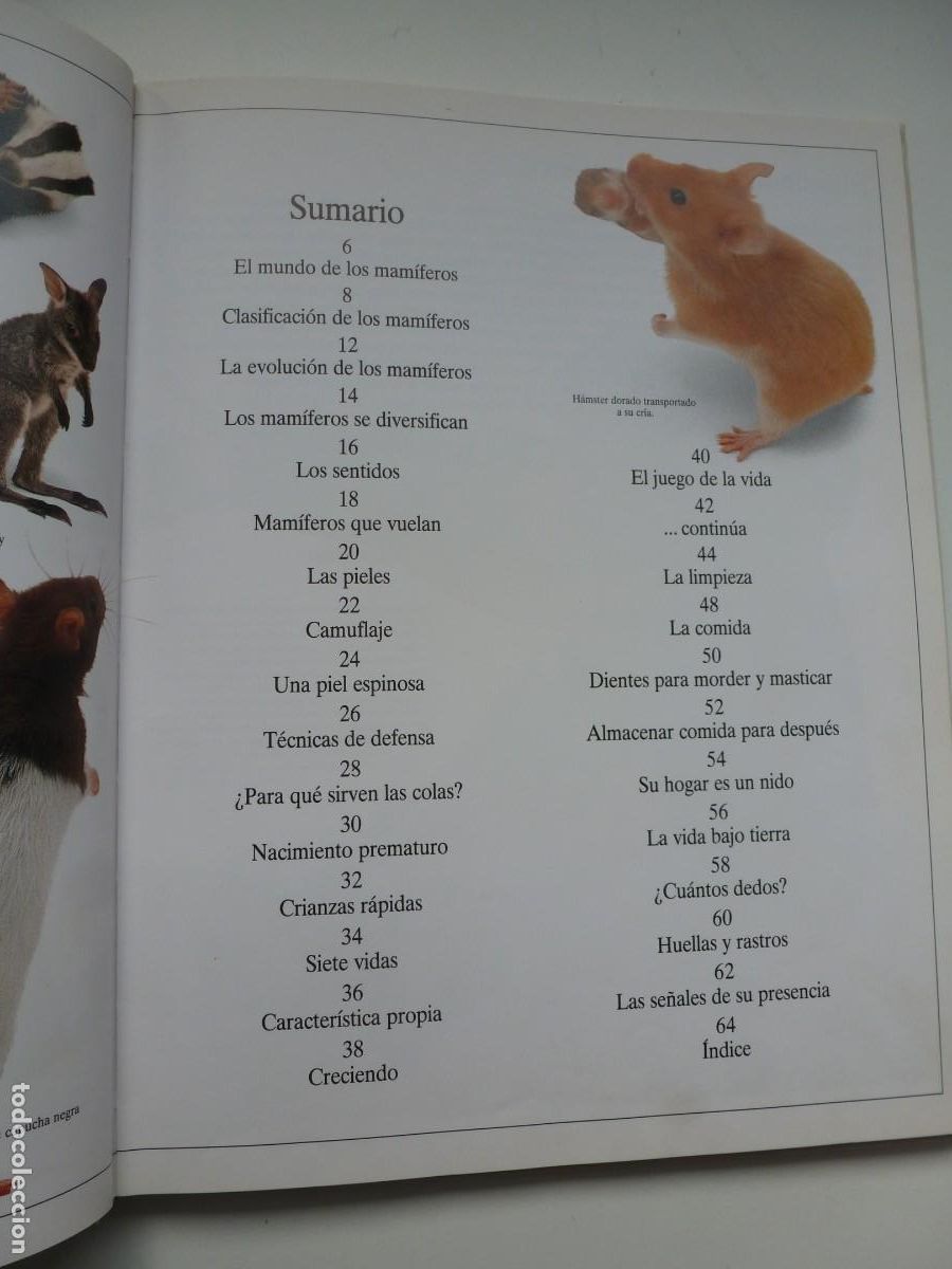 Libros de segunda mano: LOS MAM&Iacute;FEROS. BIBLIOTECA VISUAL ALTEA. - Foto 4