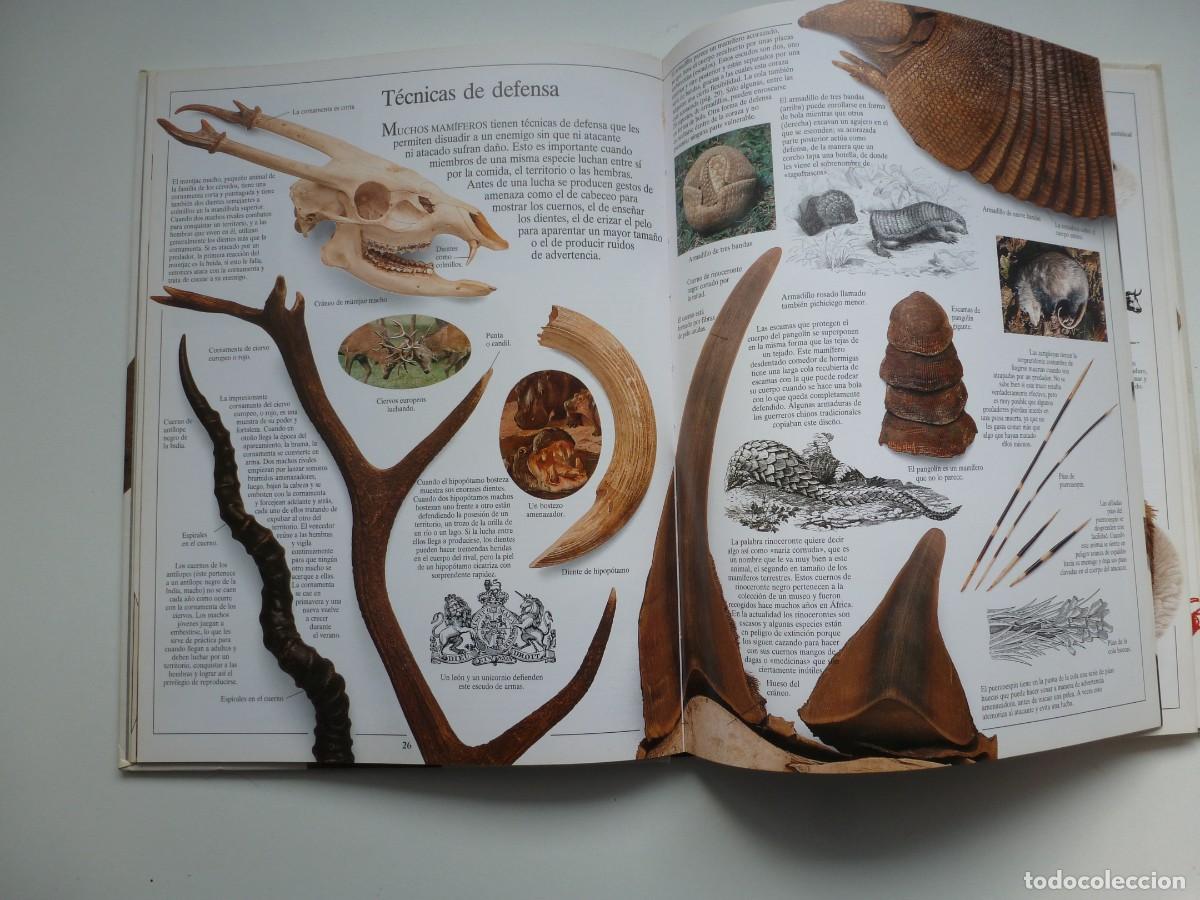 Libros de segunda mano: LOS MAM&Iacute;FEROS. BIBLIOTECA VISUAL ALTEA. - Foto 7