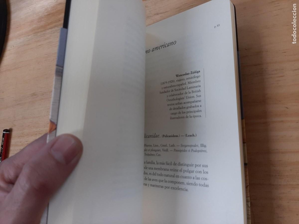 Libros de segunda mano: El pel&iacute;cano - Edith Wharton - - Foto 4