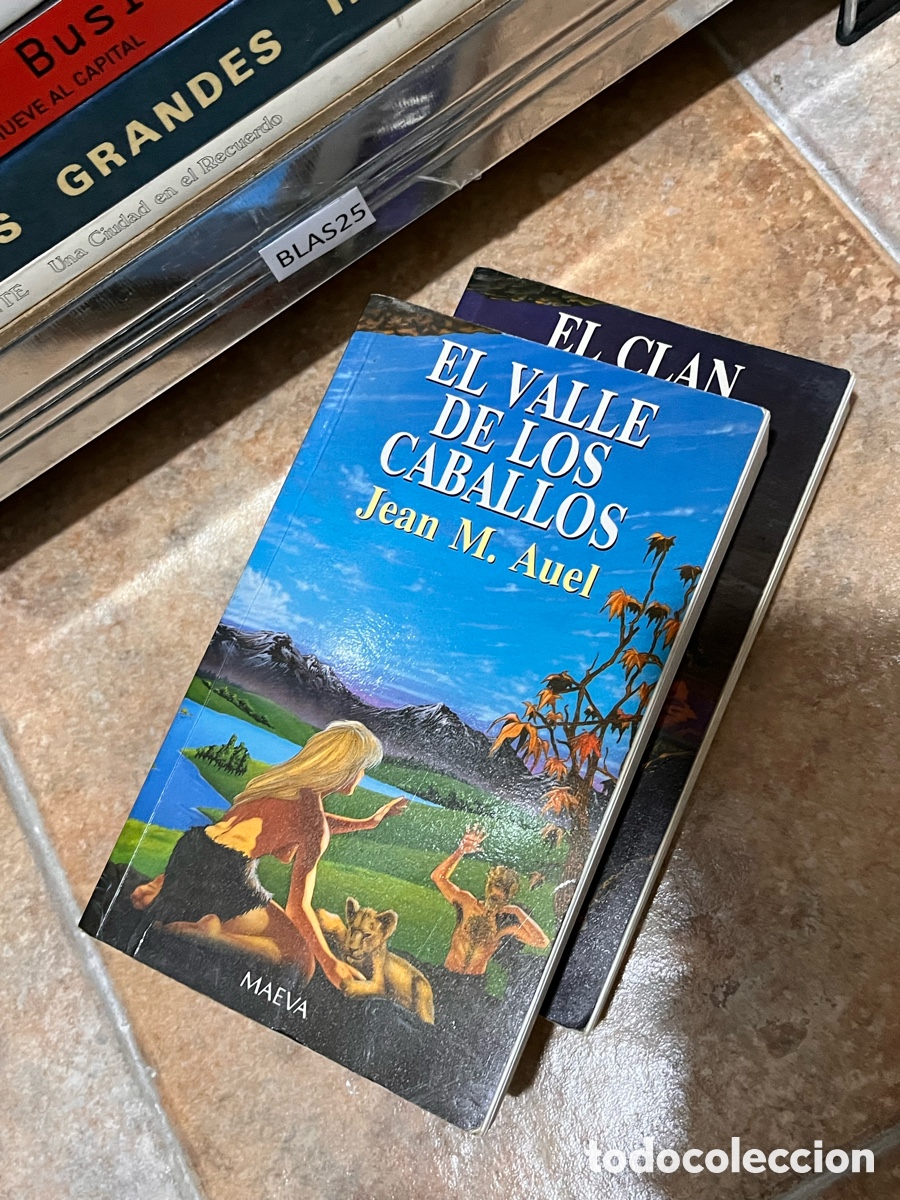 Libros de segunda mano: Blas25 EL VALLE DE LOS CABALLOS Jean M. Auel