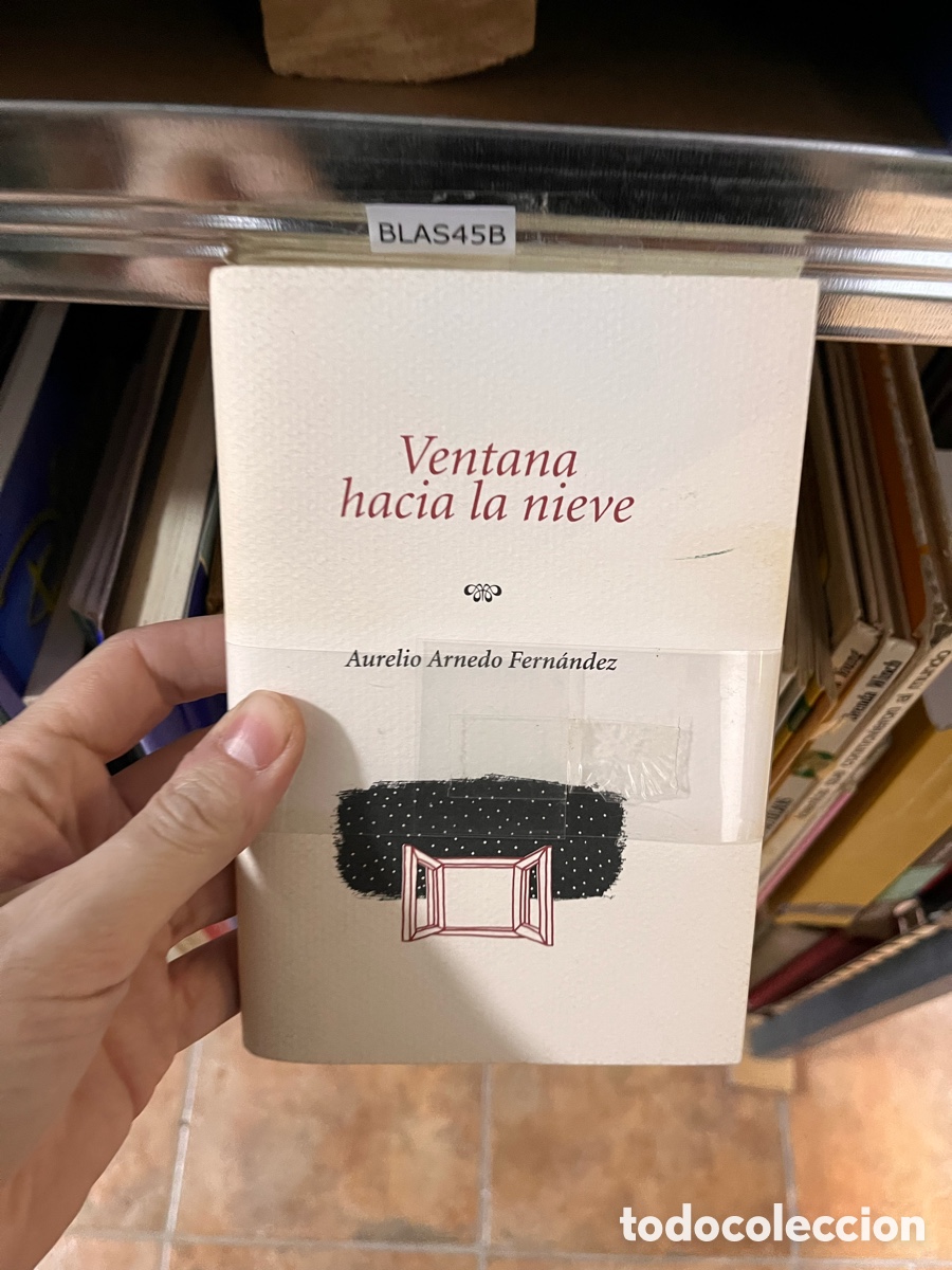 Libros de segunda mano: BLAS45B Ventana hacia la nieve Aurelio Arnedo Fern&aacute;ndez