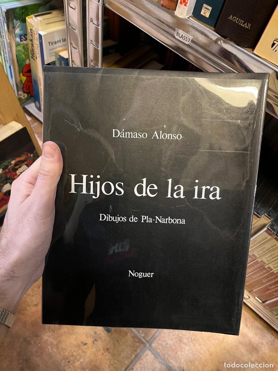 Libros de segunda mano: BLAS57 HIJOS DE LA IRA, DAMASO ALONSO, PLA-NARBONA, NOGUER