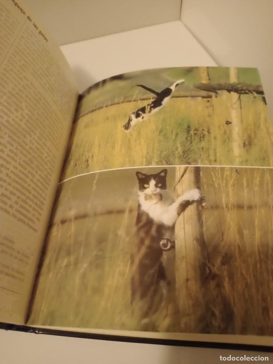 Libros de segunda mano: Libro El nuevo libro del gato - Foto 3