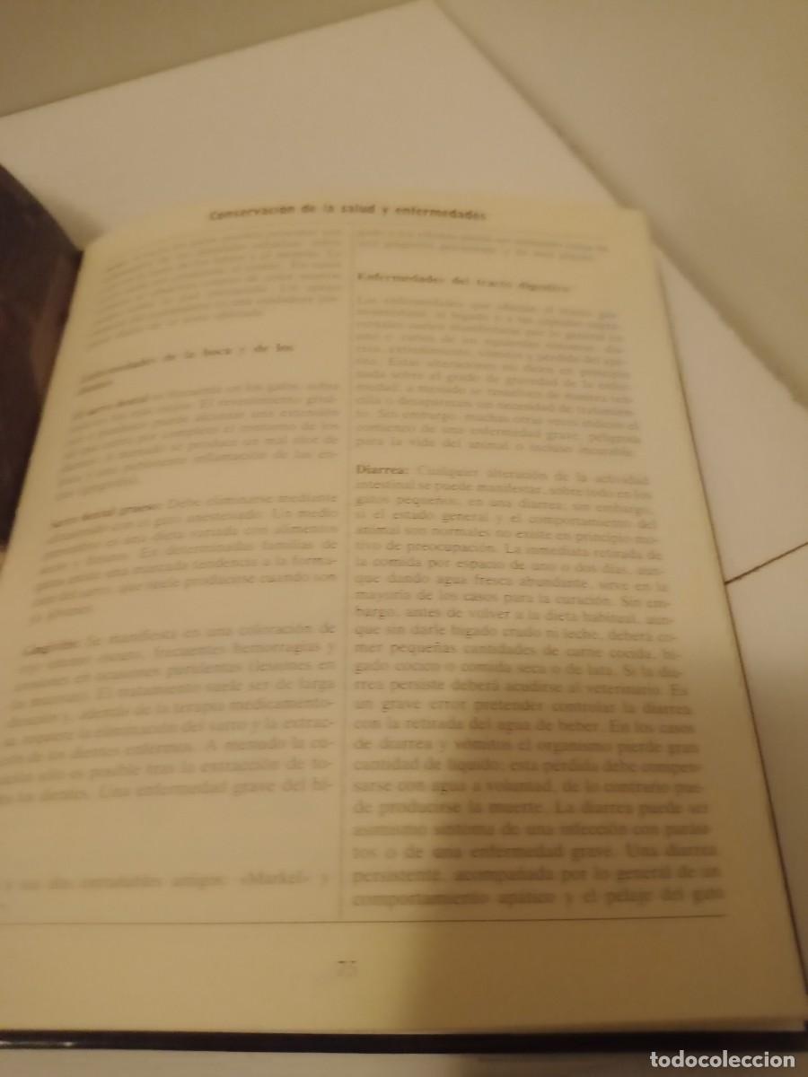 Libros de segunda mano: Libro El nuevo libro del gato - Foto 4