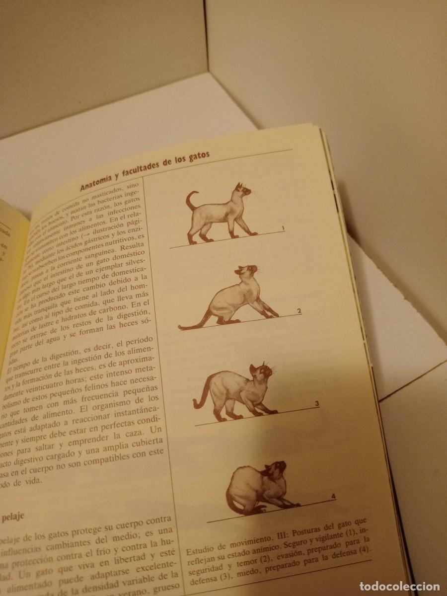 Libros de segunda mano: Libro El nuevo libro del gato - Foto 6